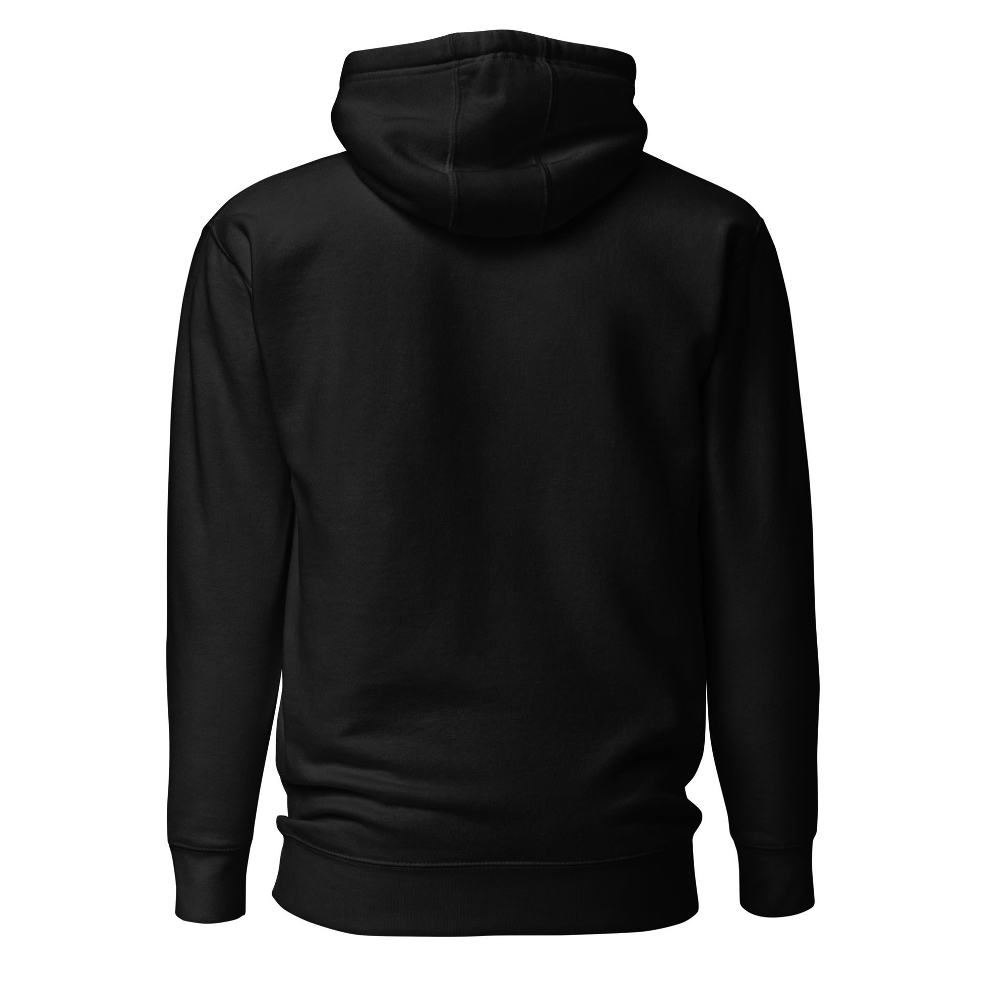 Champion Manager-Liga Hoodie in Schwarz – Rückansicht ohne Druck